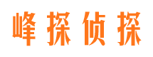 钢城侦探